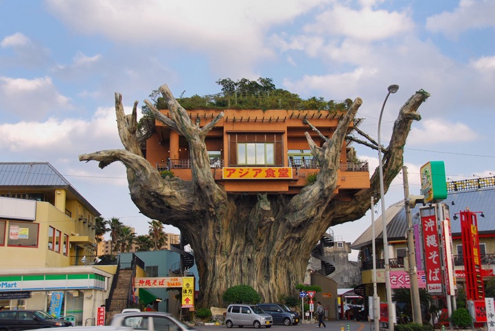 Okinawa Ağaç Restoranı (Okinawa, Japonya), İlginç Yapılar